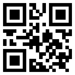 3919058589 QrCode associato
