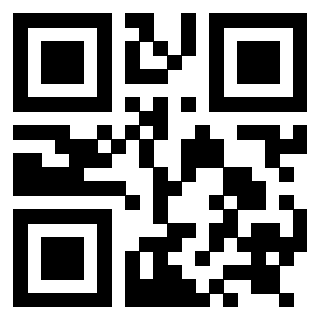 Il Qr Code di 3919058593