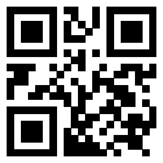 Il Qr Code di 3919058604