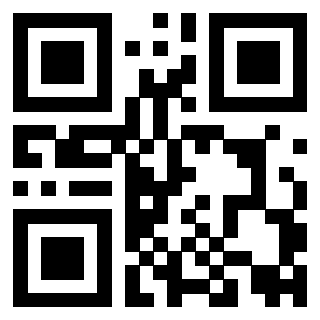 Il Qr Code di 3919058654