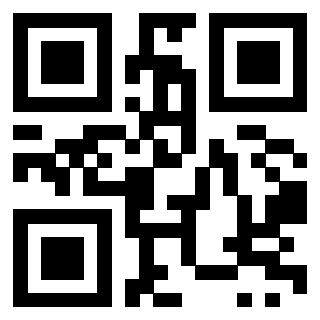 Il Qr Code di 3919058659