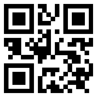 Il Qr Code di 3919058662