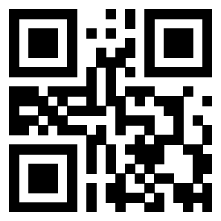 Il Qr Code di 3919058663