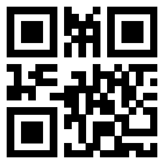Il Qr Code di 3919058676