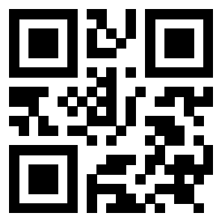Il Qr Code di 3919058683