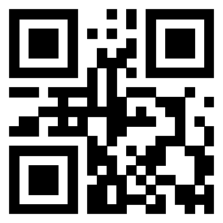 3919058729 Qr Code associato