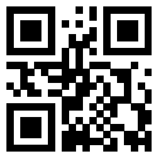QrCode di 3919058730