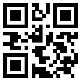 Il Qr Code di 3919058732