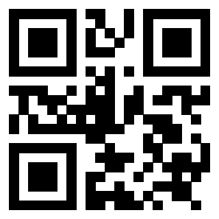 Il Qr Code di 3919058736