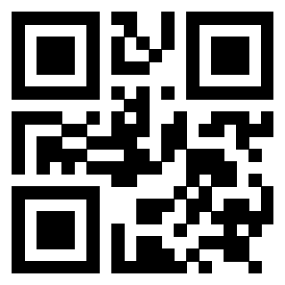 Il Qr Code di 3919058741