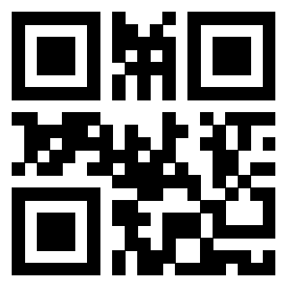 Il Qr Code di 3919058764