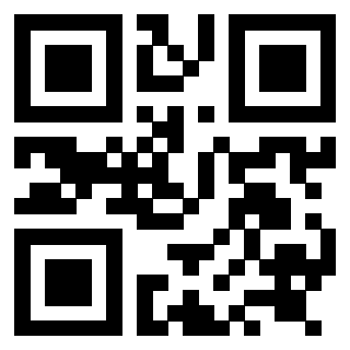 Il Qr Code di 3919058780