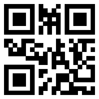 Il Qr Code di 3919058784