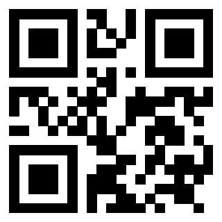 Il Qr Code di 3919058833