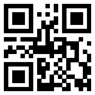 3919058844 QrCode associato