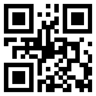 Il Qr Code di 3919058845