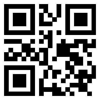 Il Qr Code di 3919058846
