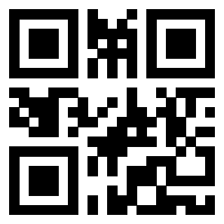 Il Qr Code di 3919058871