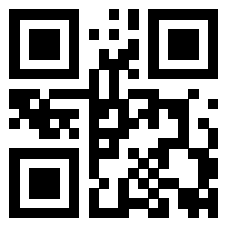 Il Qr Code di 3919058878