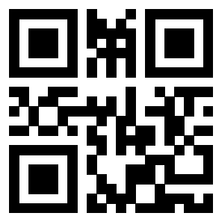 Il Qr Code di 3919058883