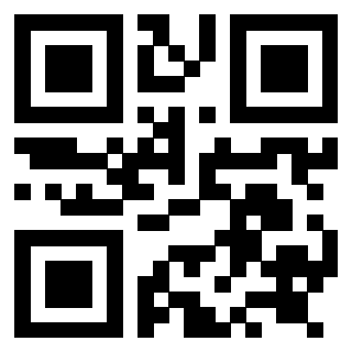 3919058895 QrCode associato