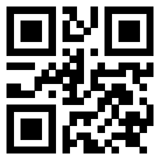 Il Qr Code di 3919058898