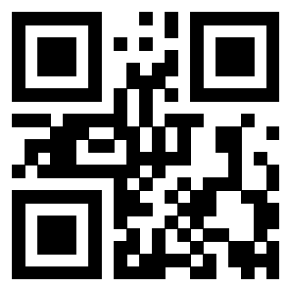 Il Qr Code di 3919058941