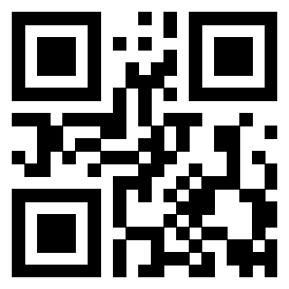 Il QrCode di 3919058951
