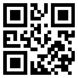 3919058969 Qr Code associato