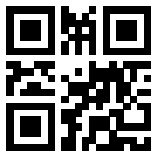 Il Qr Code di 3919058972