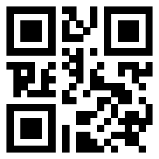 3919058978 Qr Code associato