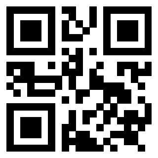 Il Qr Code di 3919058981