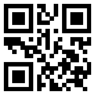 3919058995 Qr Code associato