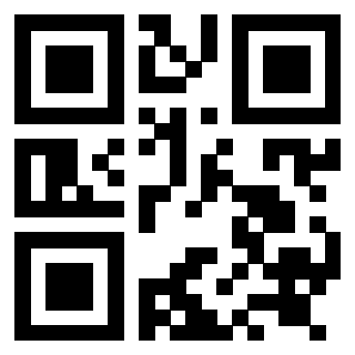 Il Qr Code di 3919058996