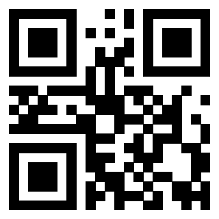 QrCode di 3919059007