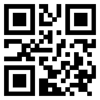 Il Qr Code di 3919084199