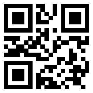 Il Qr Code di 3919084208