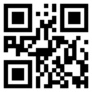 Il Qr Code di 3919084217