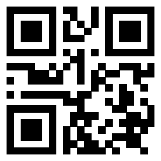 Il Qr Code di 3919084242