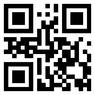 QrCode di 3919084243