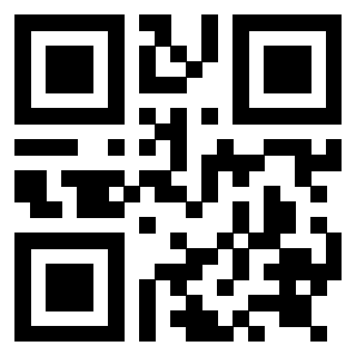 Immagine del Qr Code di 3919084291