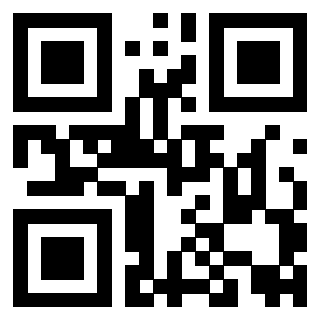 QrCode di 3919084325