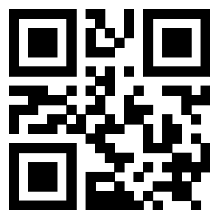 Il Qr Code di 3919084326