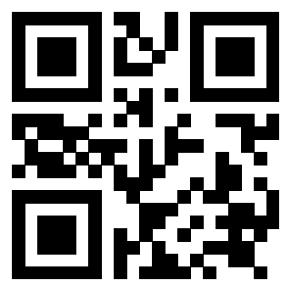 QrCode di 3919084330