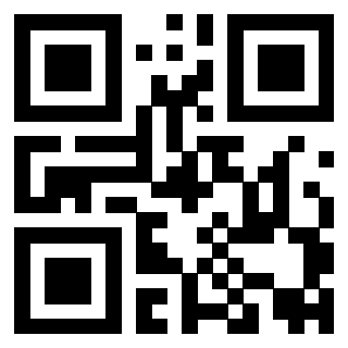 Il Qr Code di 3919084340