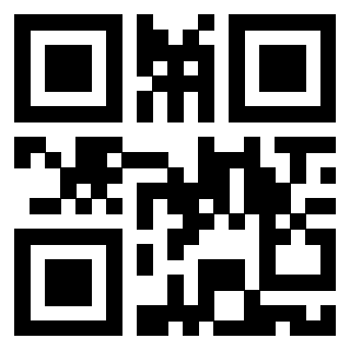 Immagine del Qr Code di 3919084348