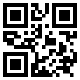 Il Qr Code di 3919084358