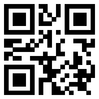 Il Qr Code di 3919084390