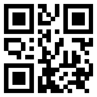 Il Qr Code di 3919084434