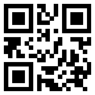 QrCode di 3919084438